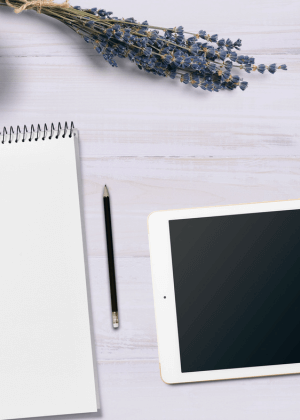 Contacter La Conciergerie